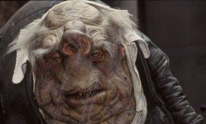 Vogon's are not bogons, but look like them.